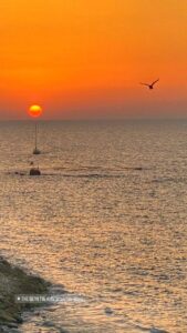 IMG_20250126_125438_819